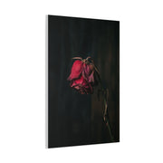 Withered Crimson Rose Still Life Wall Art & Canvas Print