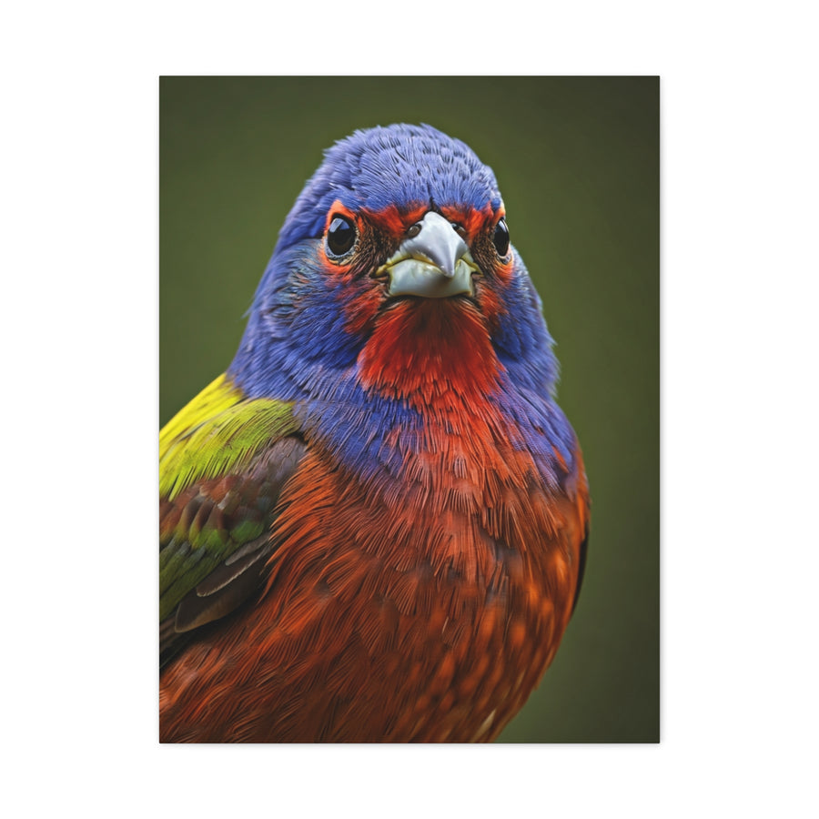 Vibrant Colorburst Sparrow Portrait Wall Art & Canvas Prints