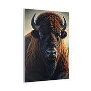 Classic Frontal American Bison Portrait Wall Art & Canvas Print