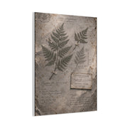 Antique Fern Herbarium Archive Wall Art & Canvas Print