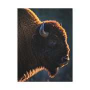Backlit Bison Silhouette with Glowing Fur Edges Wall Art & Canvas Print