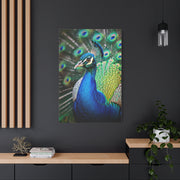 Vibrant Peacock Portrait Wall Art & Canvas Prints