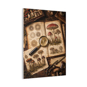 Cabinet-of-Curiosities Mushroom Study Wall Art & Canvas Print