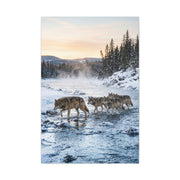 Winter River Wolf Pack Crossing Scene Wall Art & Canvas Print