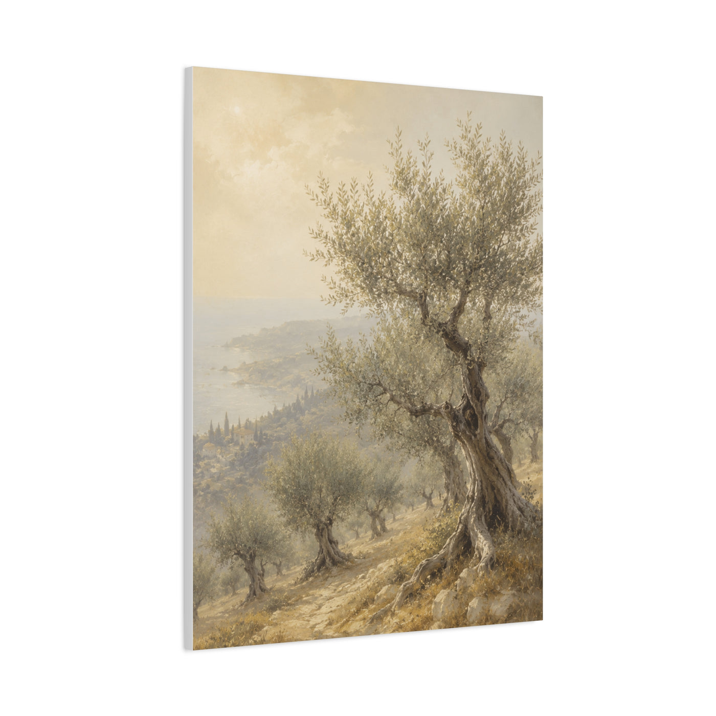 Mediterranean Olive Grove Light Trees Wall Art & Canvas Print