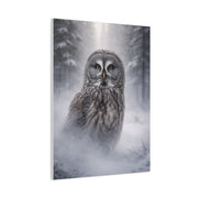 Great Grey Owl Winter Mist Portrait Wall Art & Canvas Print