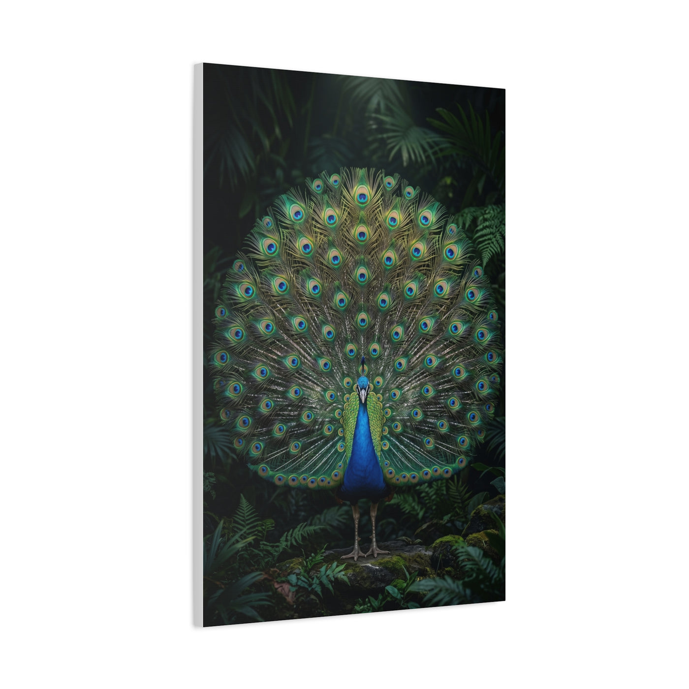 Jungle Royal Peacock Halo Wall Art & Canvas Print