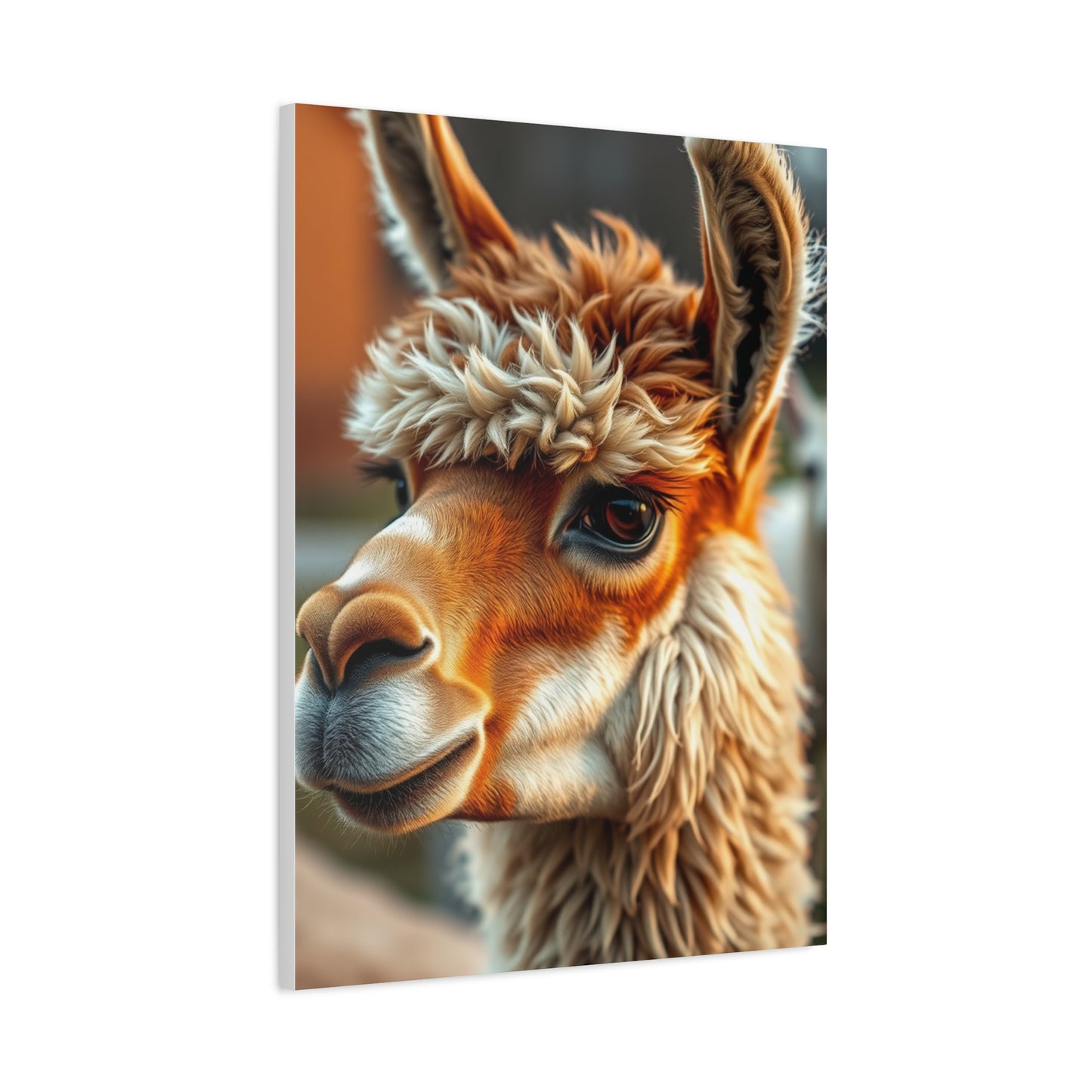 Llama & Alpaca Art Supreme Gallery Wall Art & Canvas Print