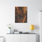 Harlem Brownstone Golden Hour Scene Wall Art & Canvas Print