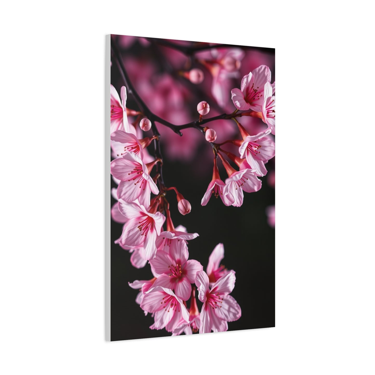 Supreme Cherry Blossom Wall Art Beautiful Collection Wall Art & Canvas Print