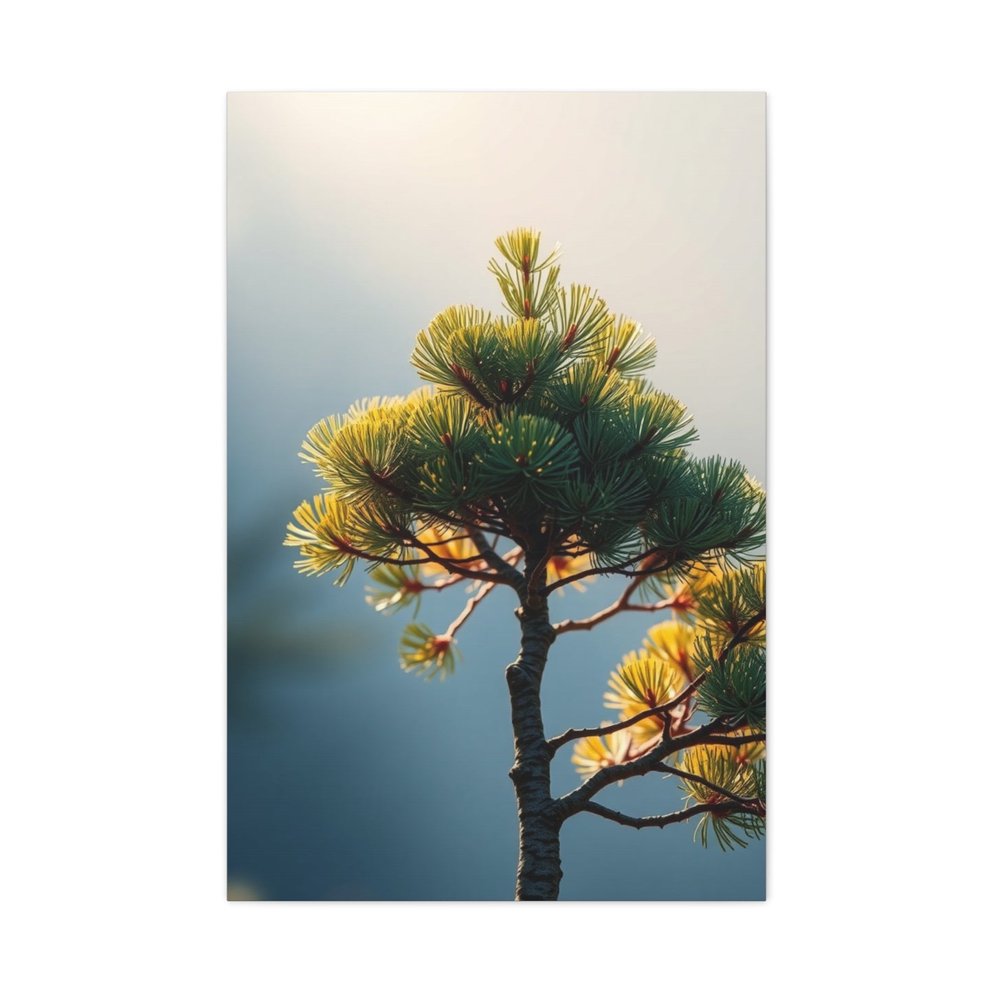 Pine Tree Art Supreme Canvas  Wall Art & Canvas Print