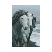 Coastal Wild Horses Storm Run Wall Art & Canvas Print