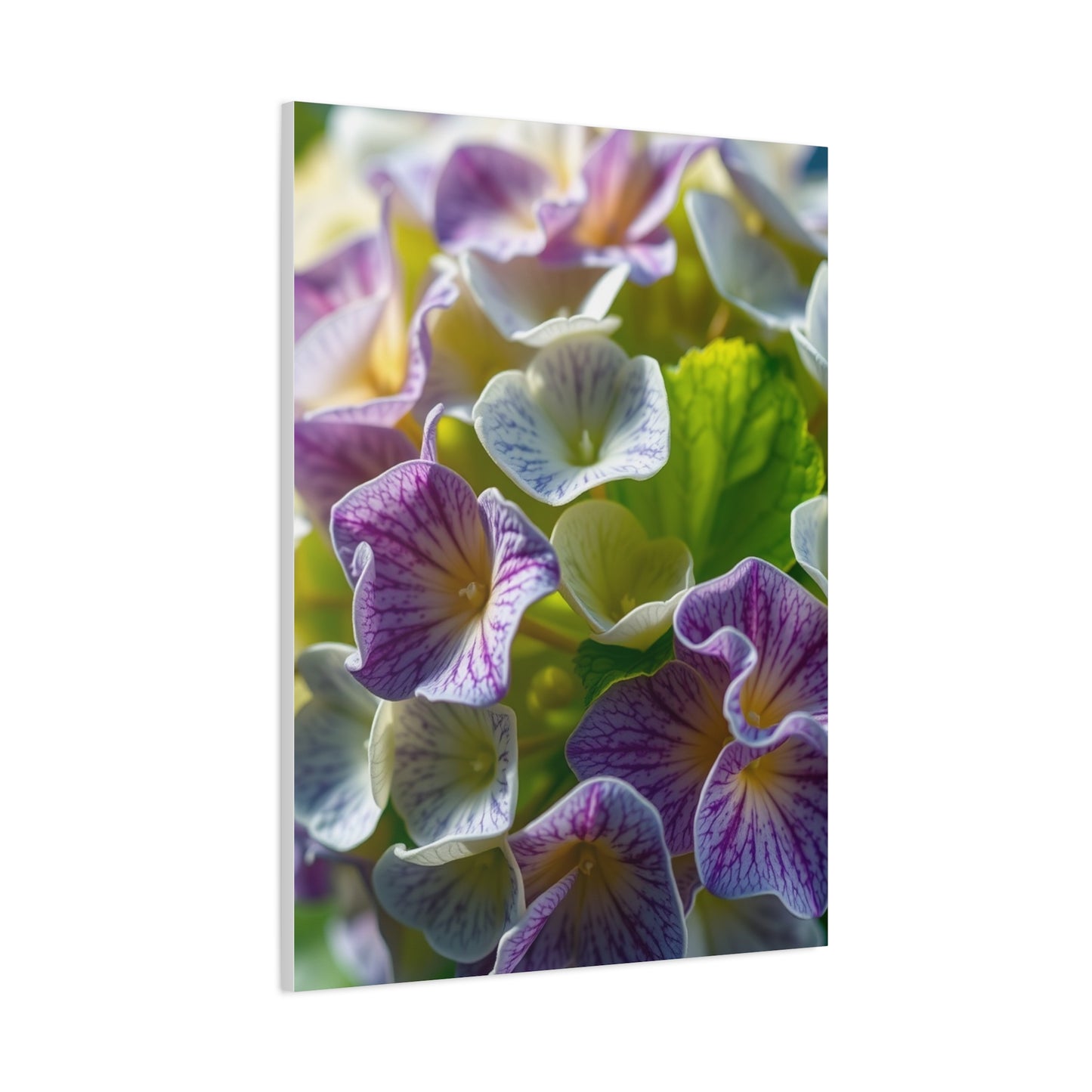 Hydrangea Flower Art Supreme Canvas Wall Art & Canvas Print