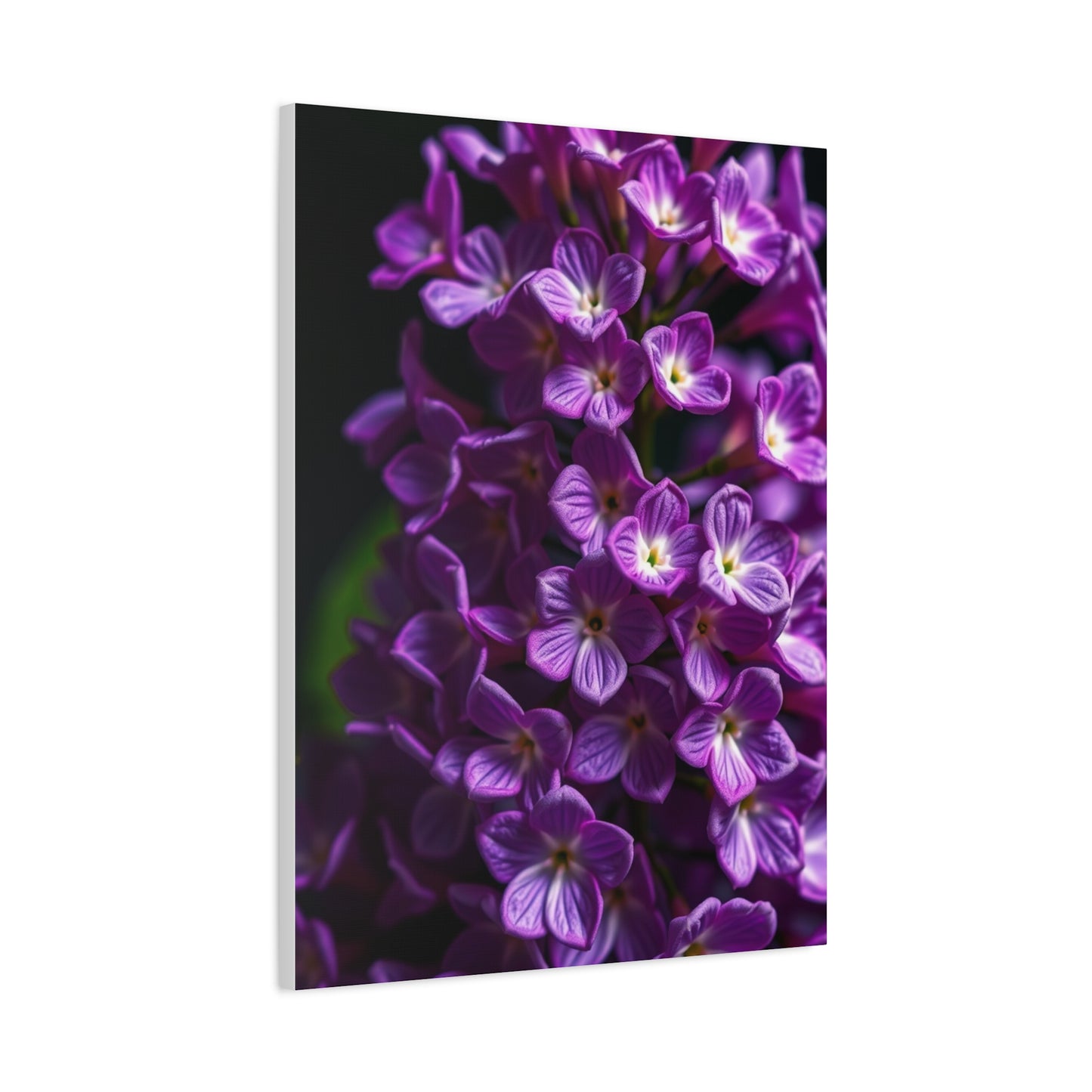 Masterpiece Lilac Flower Art Vision Wall Art & Canvas Print