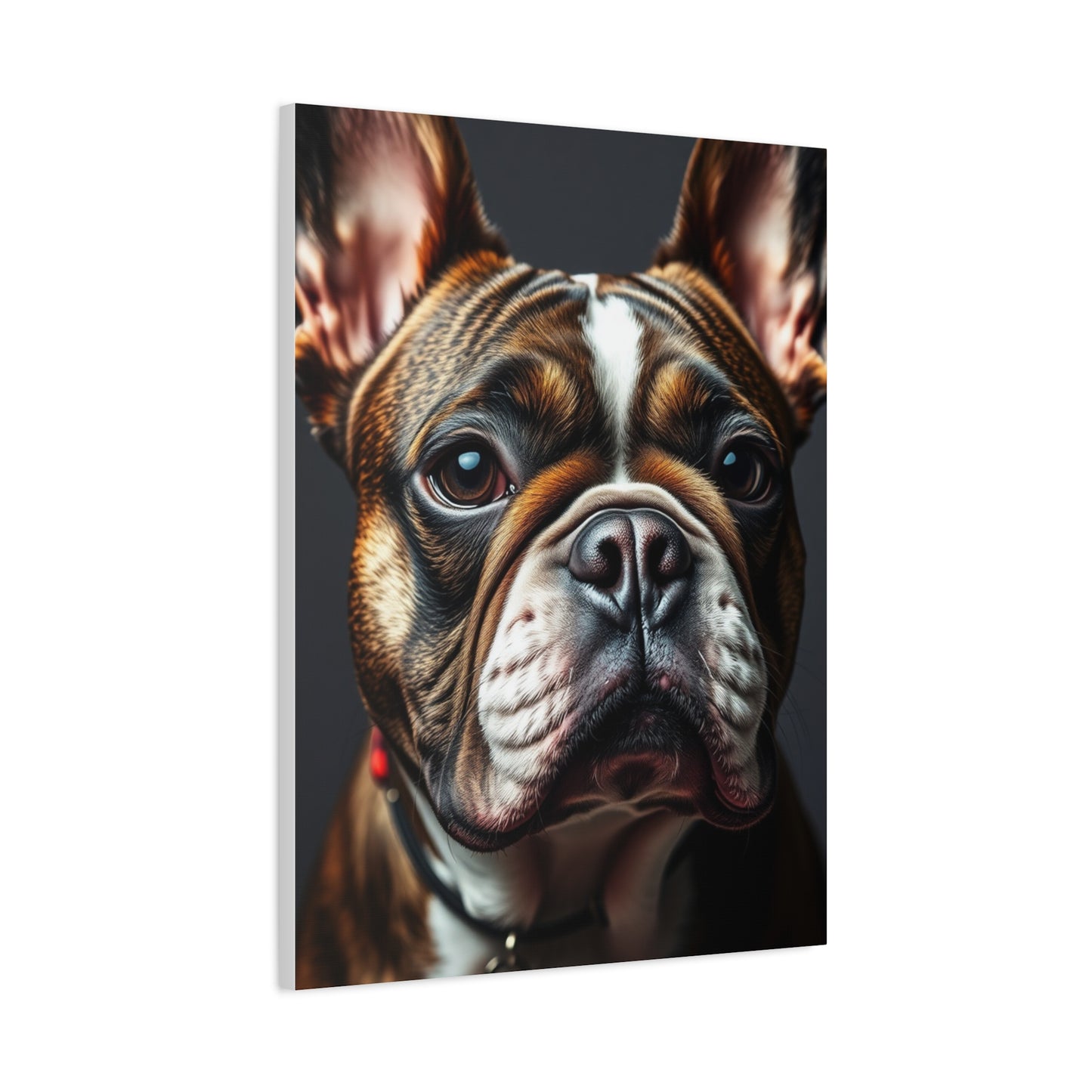 Supreme French Bulldog Art Beautiful Collection Wall Art & Canvas Print