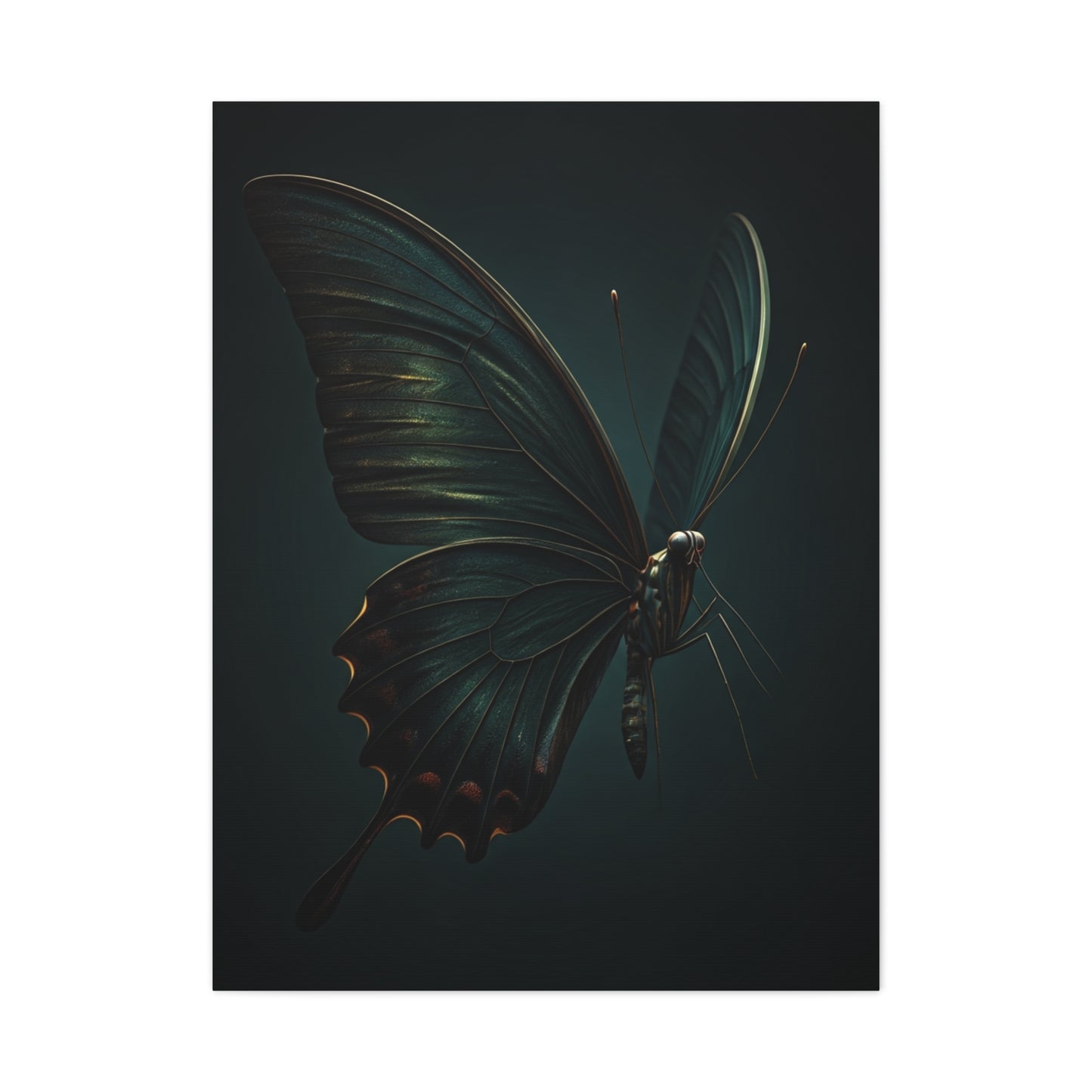 Dark Swallowtail Butterfly Profile Study Wall Art & Canvas Prints
