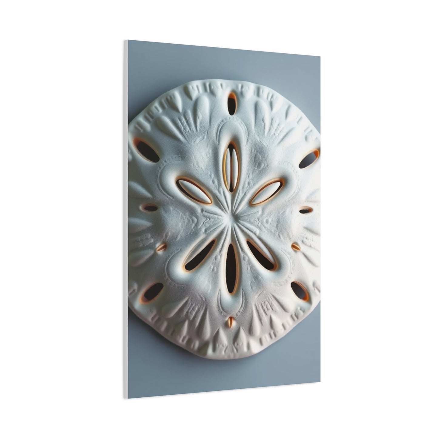 Supreme Sand Dollar Art Beautiful Collection Wall Art & Canvas Print