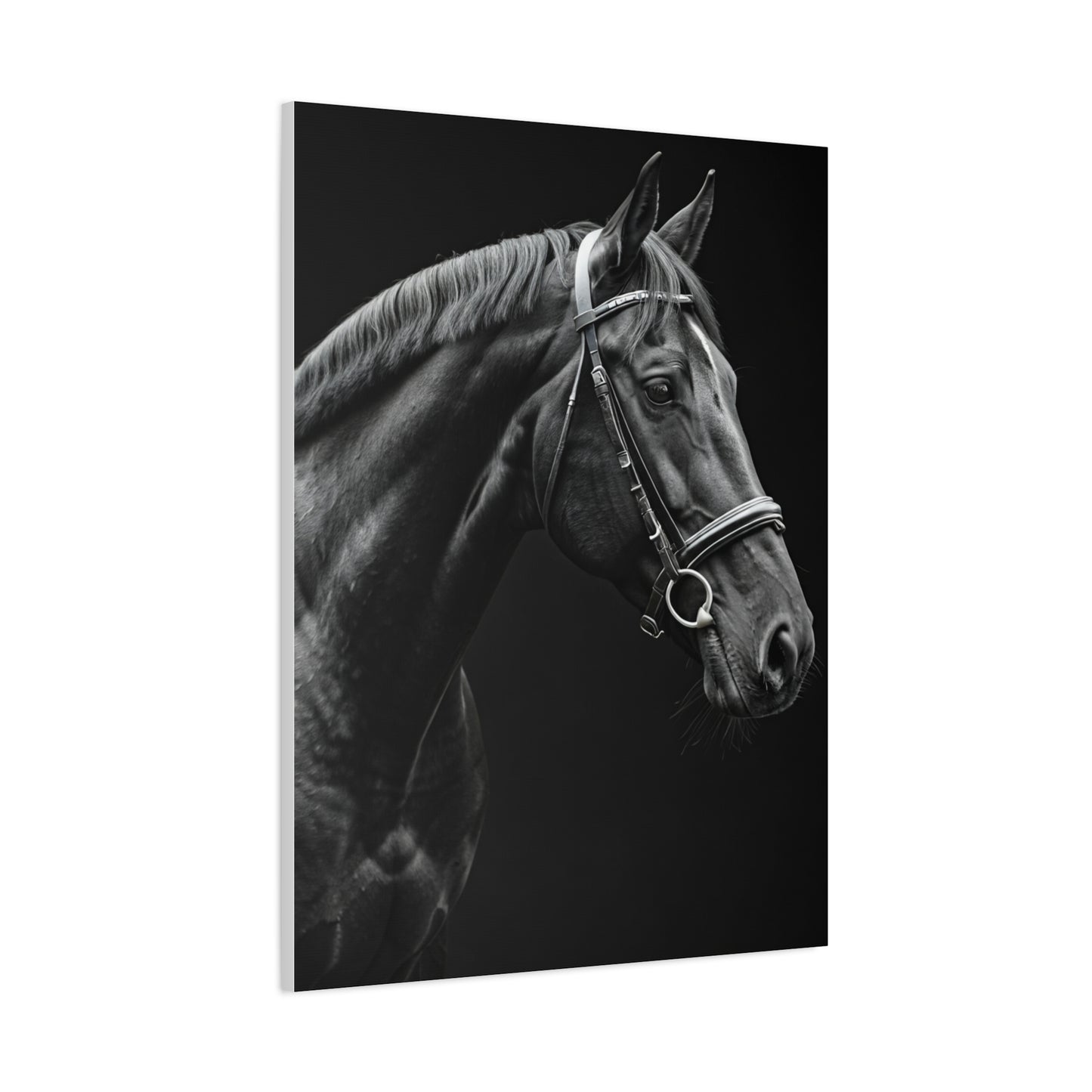 Elegant Black Stallion Profile Wall Art & Canvas Prints