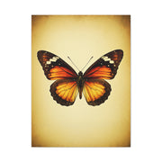 Vintage Monarch Butterfly Illustration Wall Art & Canvas Prints