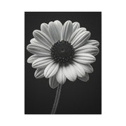 Bold Daisy Contrast Portrait Wall Art & Canvas Prints