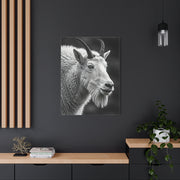 Alpine Goat Portrait Wall Art & Canvas Prints