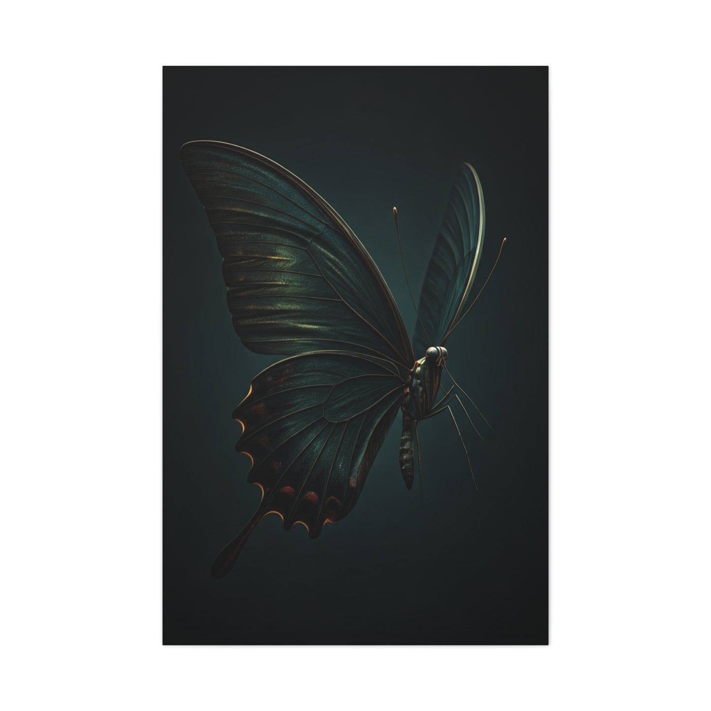 Dark Swallowtail Butterfly Profile Study Wall Art & Canvas Prints