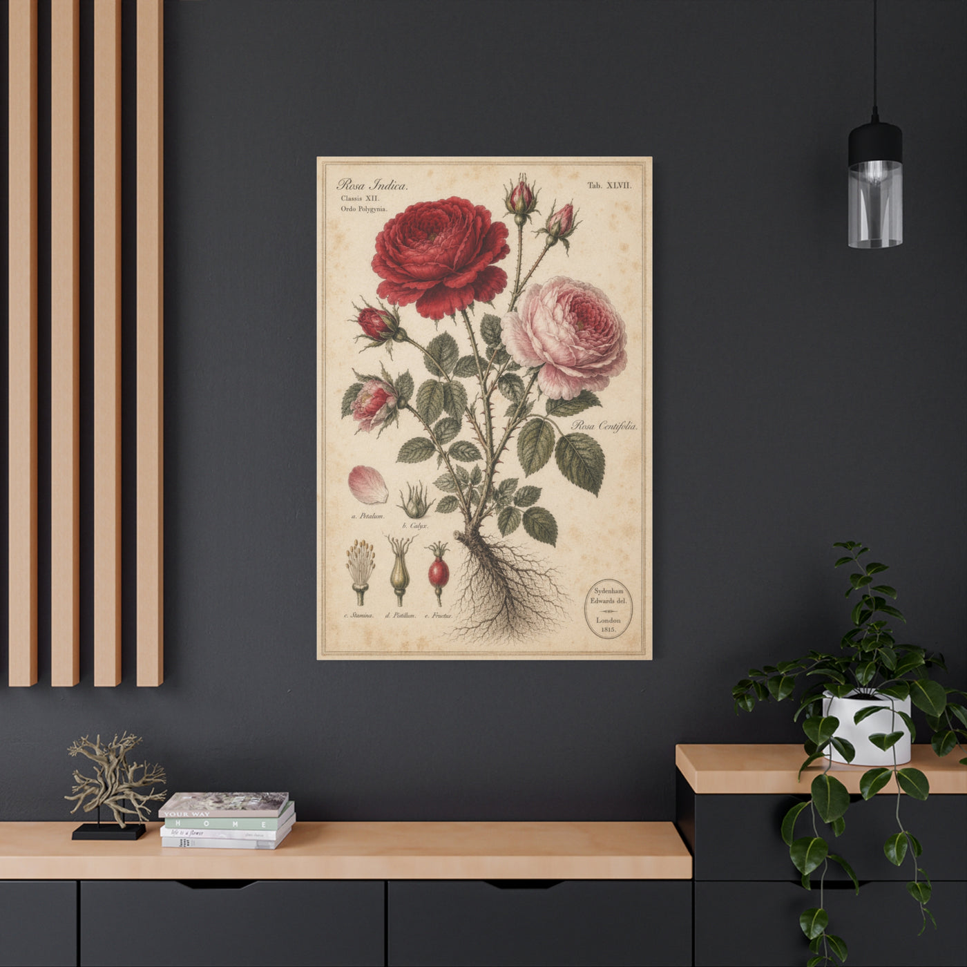 Victorian Rose Botanical Study Wall Art & Canvas Print