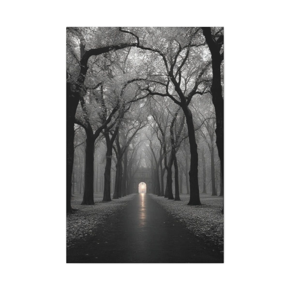 Misty Tree Avenue Monochrome Wall Art & Canvas Print