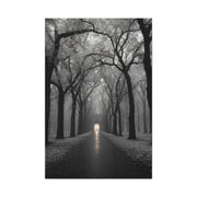 Misty Tree Avenue Monochrome Wall Art & Canvas Print