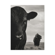 Black Angus & Bison Dual Portrait Landscape Wall Art & Canvas Print