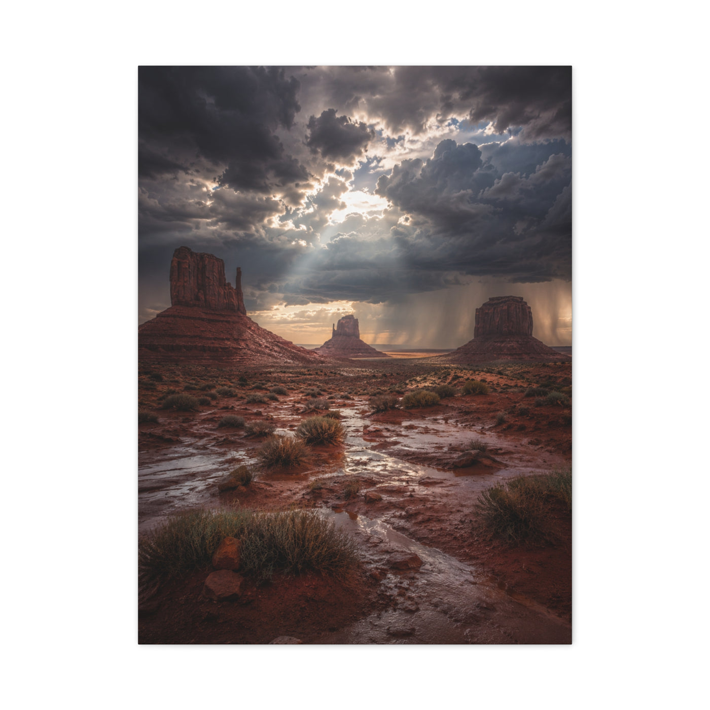 Monument Valley After the Storm Southwest Wall Art & Canvas Print