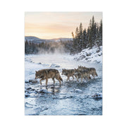 Winter River Wolf Pack Crossing Scene Wall Art & Canvas Print