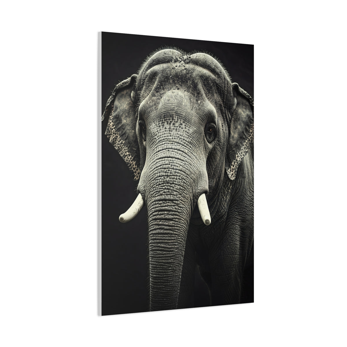Regal Elephant Close-Up Wall Art & Canvas Prints