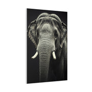 Regal Elephant Close-Up Wall Art & Canvas Prints
