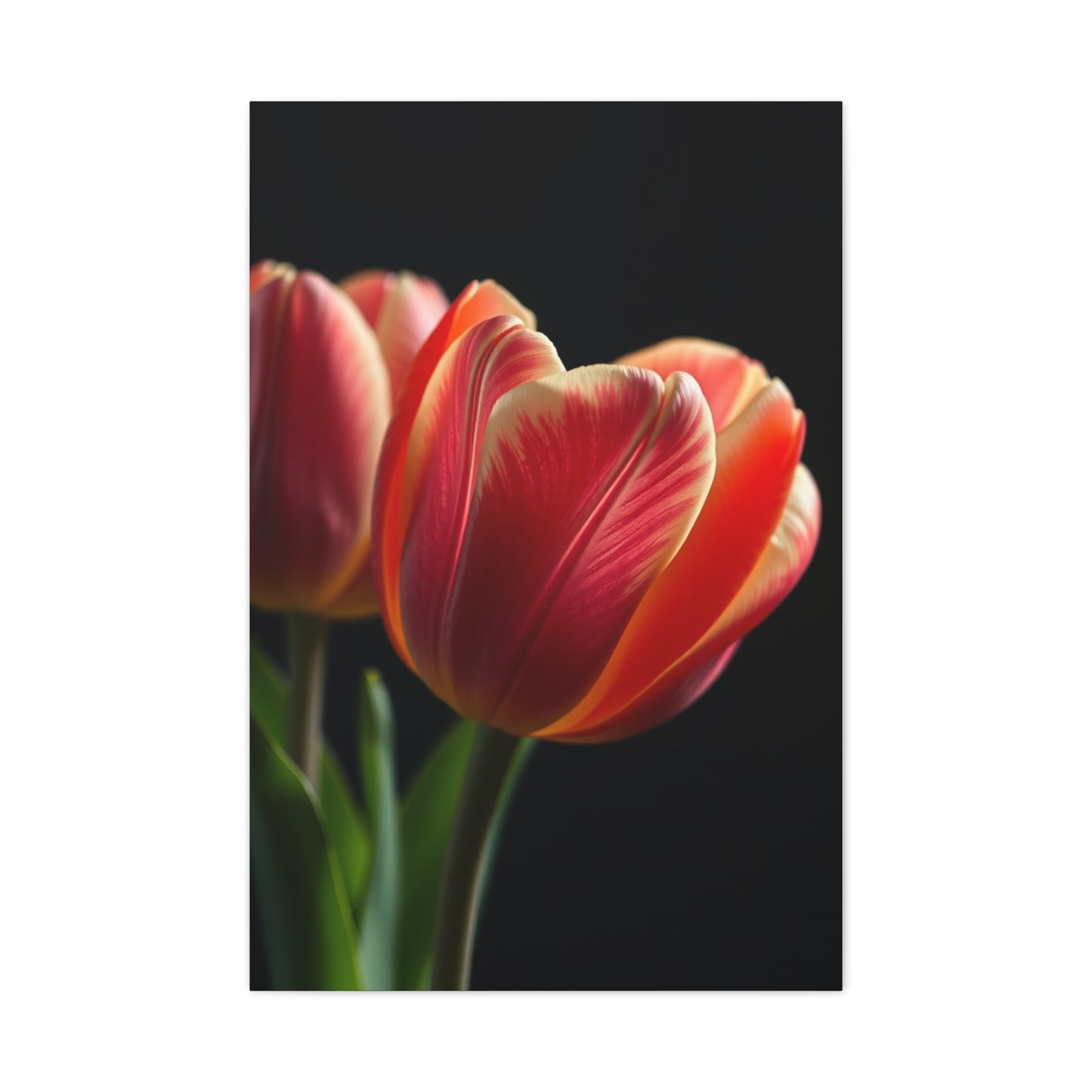 Tulip Flower Art Supreme Canvas Wall Art & Canvas Print