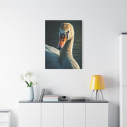 Serene Swan Reflection Wall Art & Canvas Prints