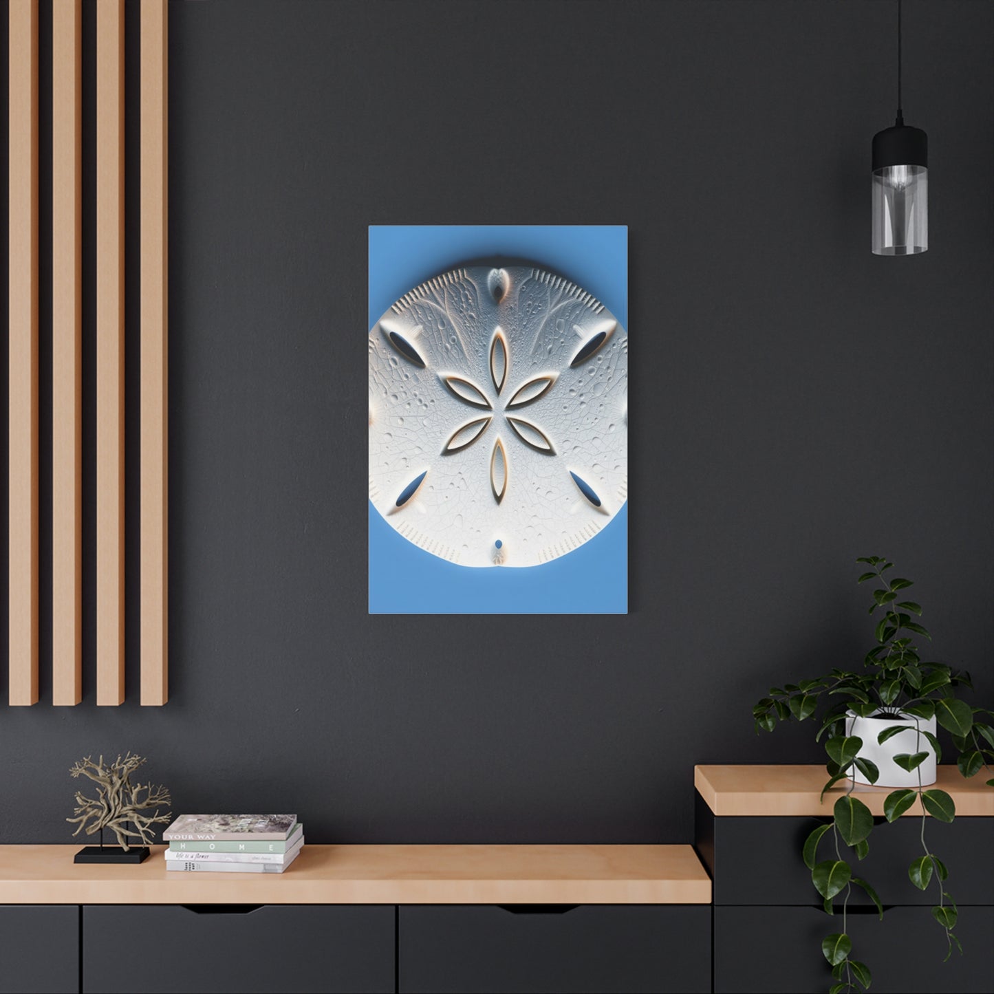 Sand Dollar Art Supreme Canvas Wall Art & Canvas Print