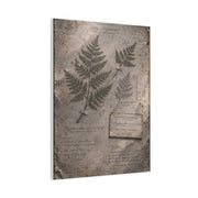 Antique Fern Herbarium Archive Wall Art & Canvas Print