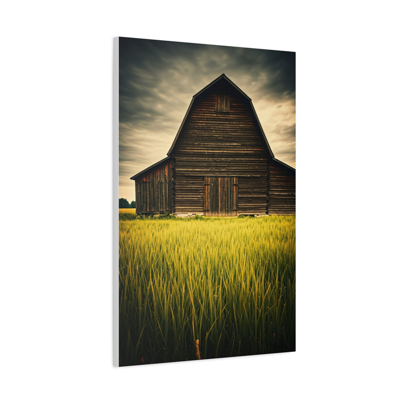 Weathered Barn in Tall Green Fields Wall Art & Canvas Prints