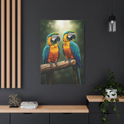 Blue & Gold Macaw Duo Wall Art & Canvas Prints