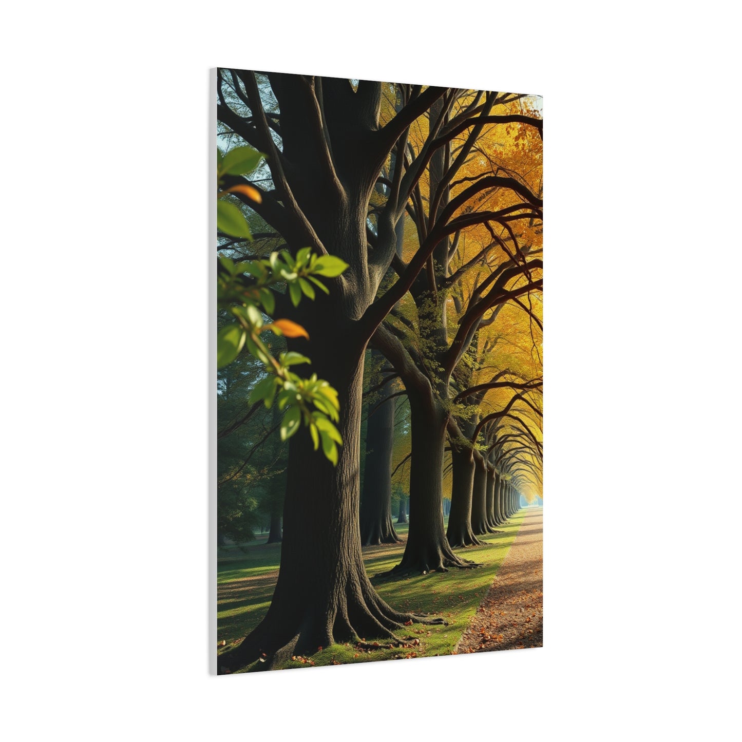 Supreme Trees Wall Art Beautiful Collection Wall Art & Canvas Print