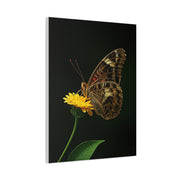 Golden Meadow Butterfly On Yellow Blossom Wall Art & Canvas Prints