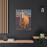 Palomino in Lavender Field Wall Art & Canvas Print