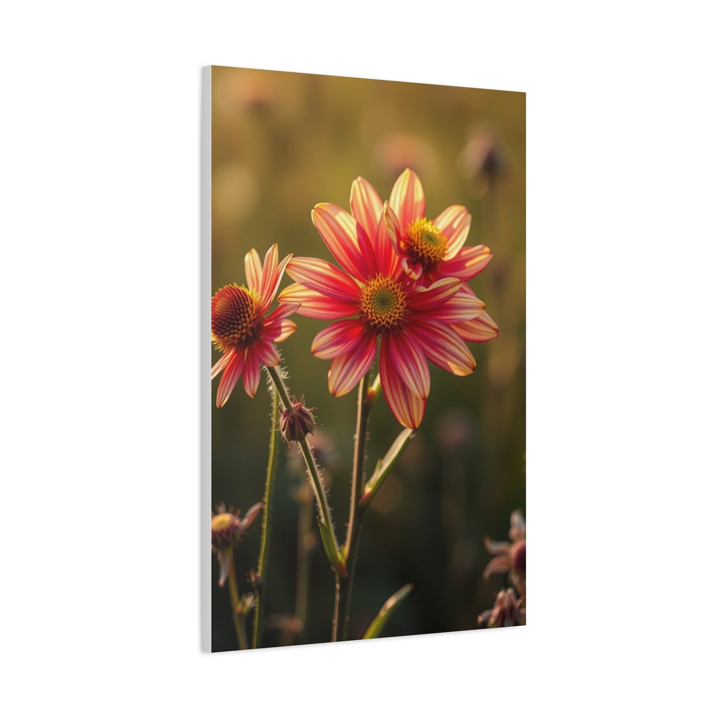 Elite Wildflowers Art Vision Wall Art & Canvas Print