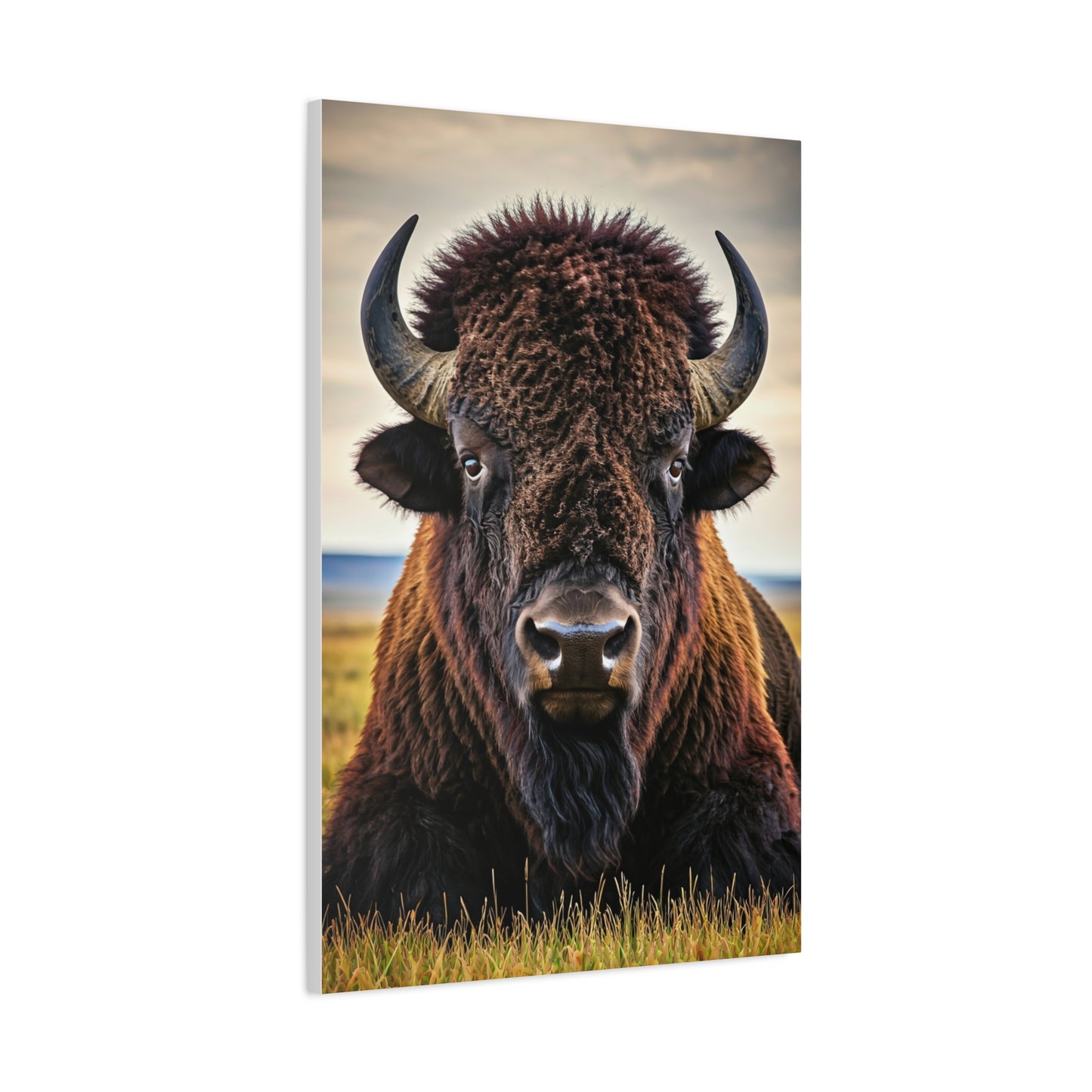 Symmetrical Prairie Bison Frontal Portrait Wall Art & Canvas Print