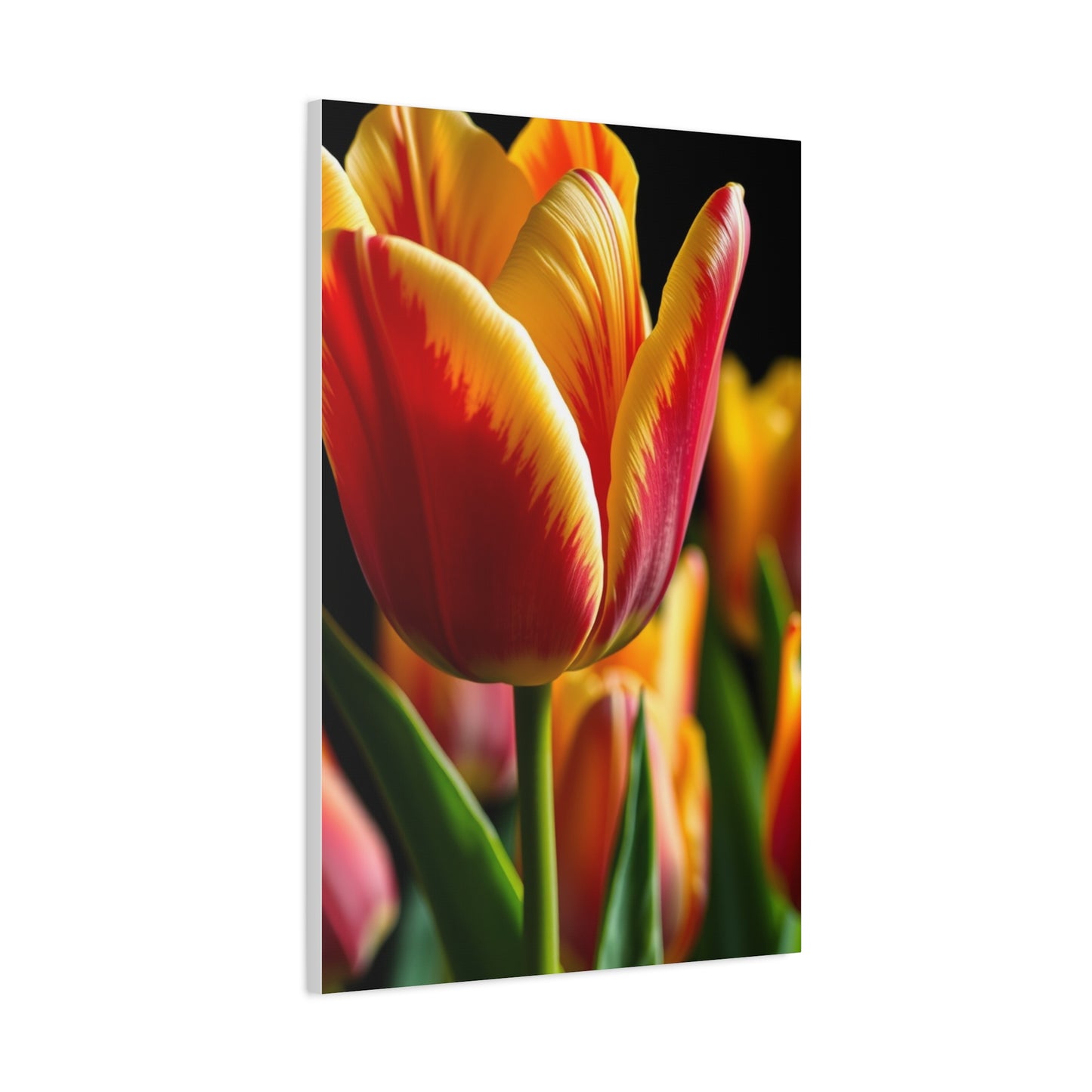 Tulip Flower Art Luxury Canvas Wall Art & Canvas Print
