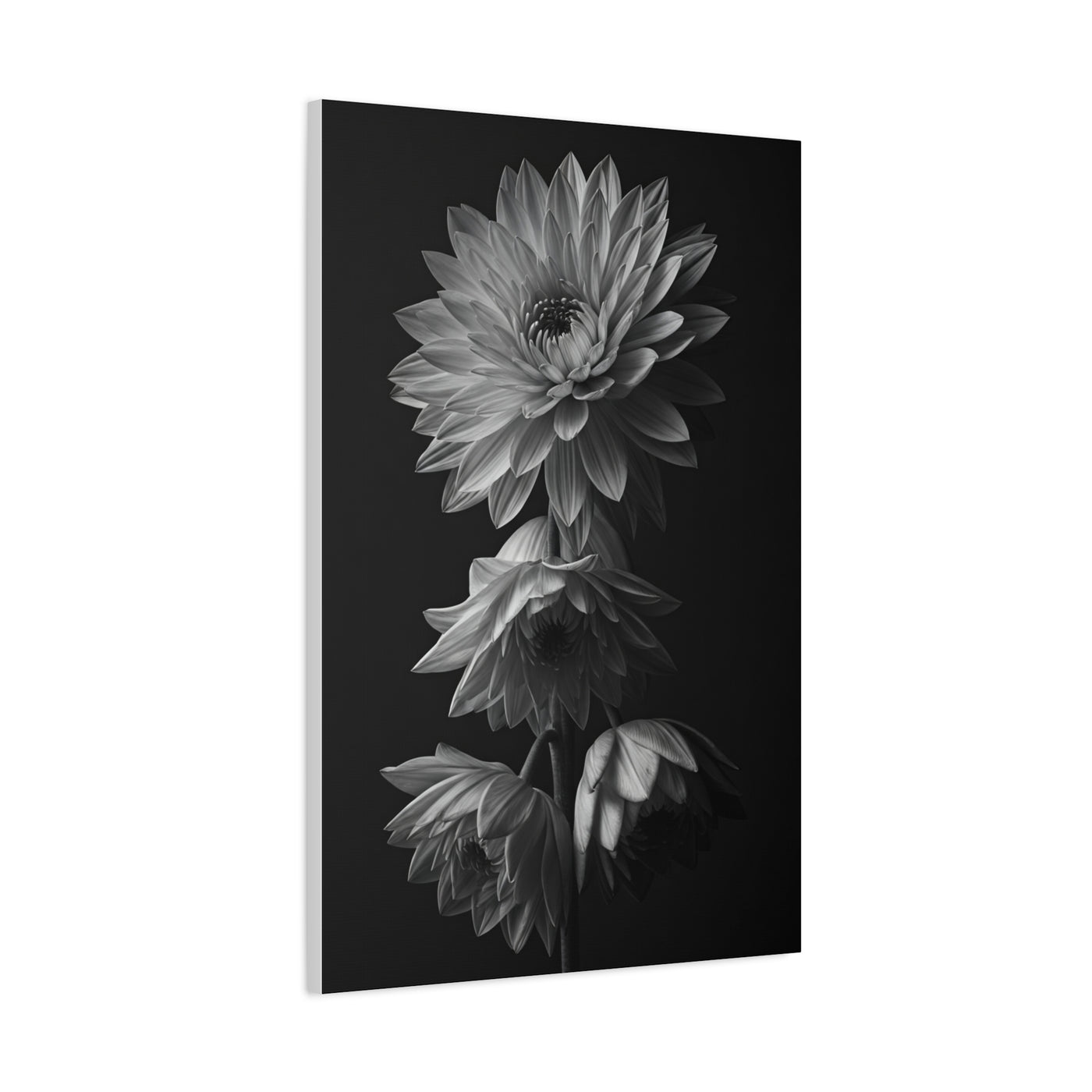 Vertical Dahlia Stem Composition Wall Art & Canvas Prints