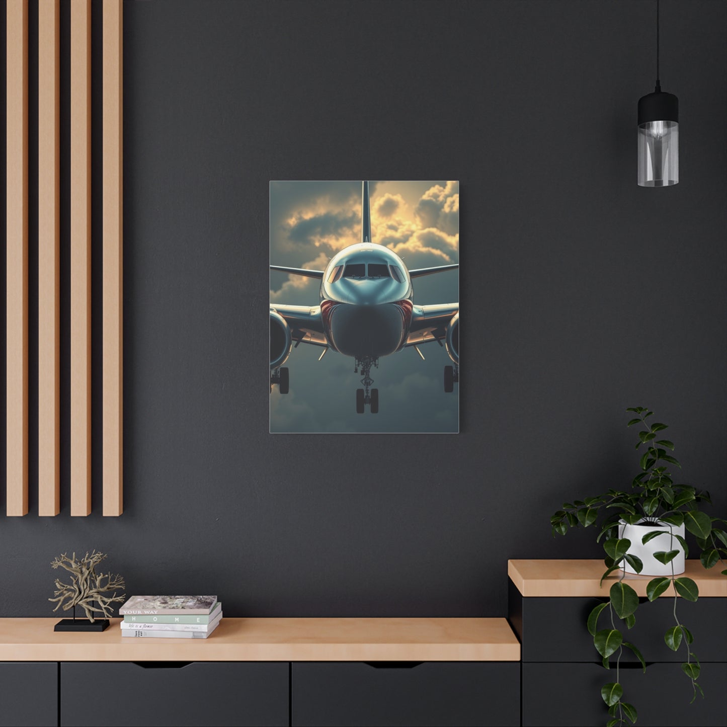 Supreme Airplane Art Beautiful Collection Wall Art & Canvas Print