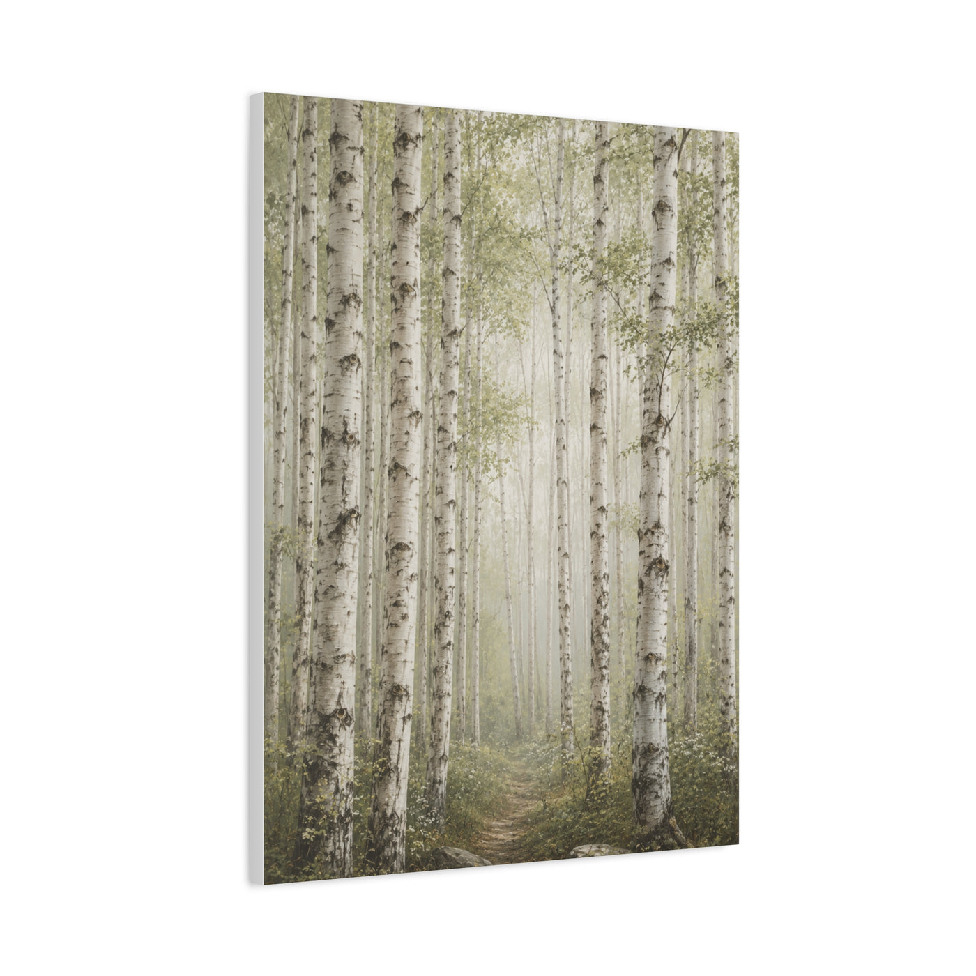 Light Birch Woodland Minimal Landscape Trees Wall Art & Canvas Print
