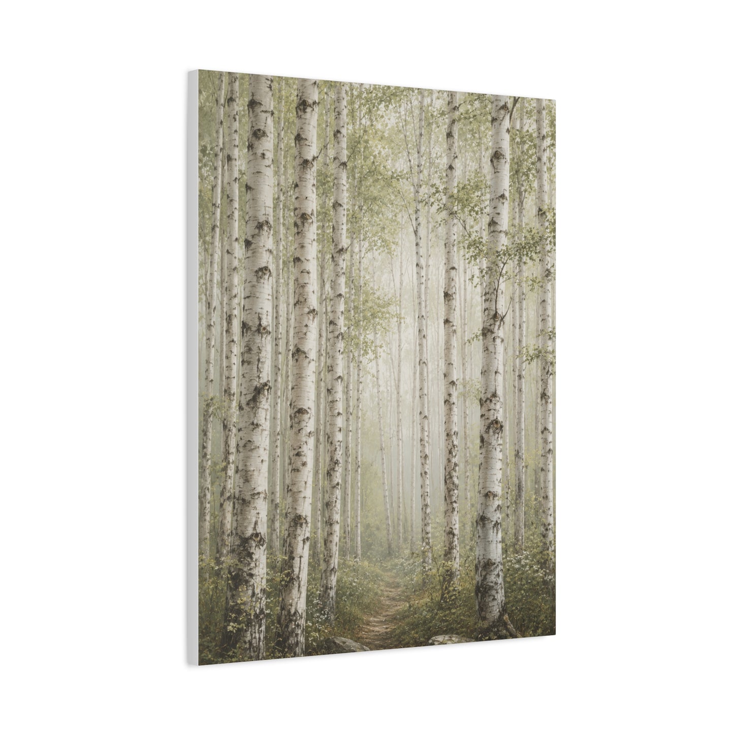Light Birch Woodland Minimal Landscape Trees Wall Art & Canvas Print